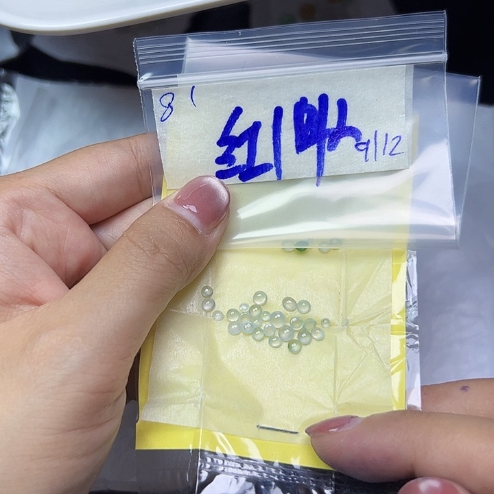 未镶嵌定制翡翠红*不