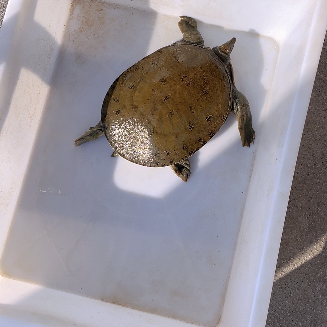 中国大陆12345678