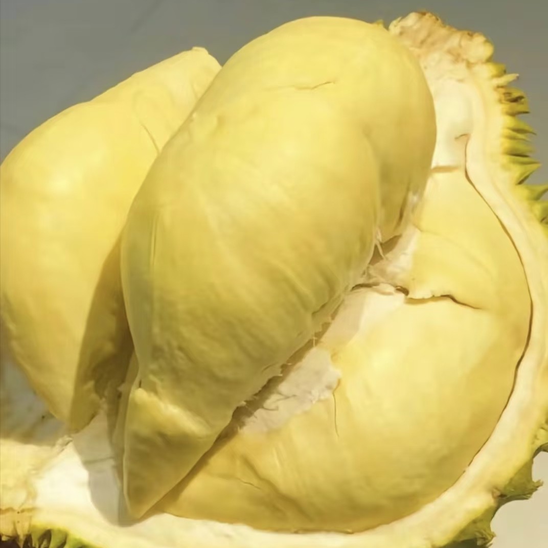 泰国金枕榴莲9.8斤263一物一拍