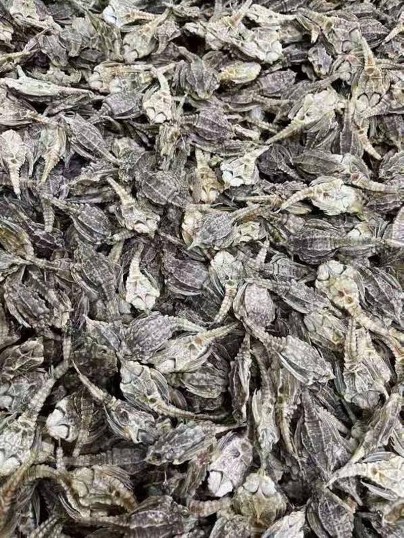 顺兄堂 精选 海麻雀 无添加