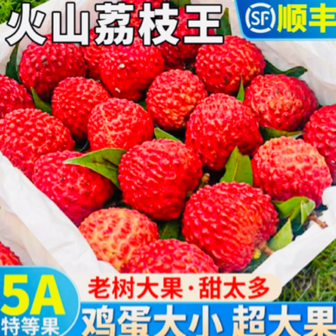 【大连发货】火山口荔枝王 果王顺丰包邮【今天拍明天到】荔枝同城送新鲜