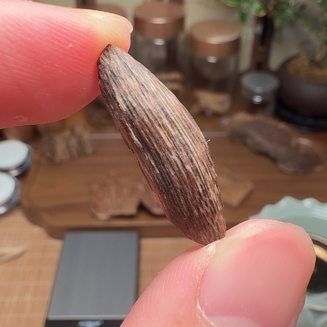 沉香香港西贡棋韵瓜子