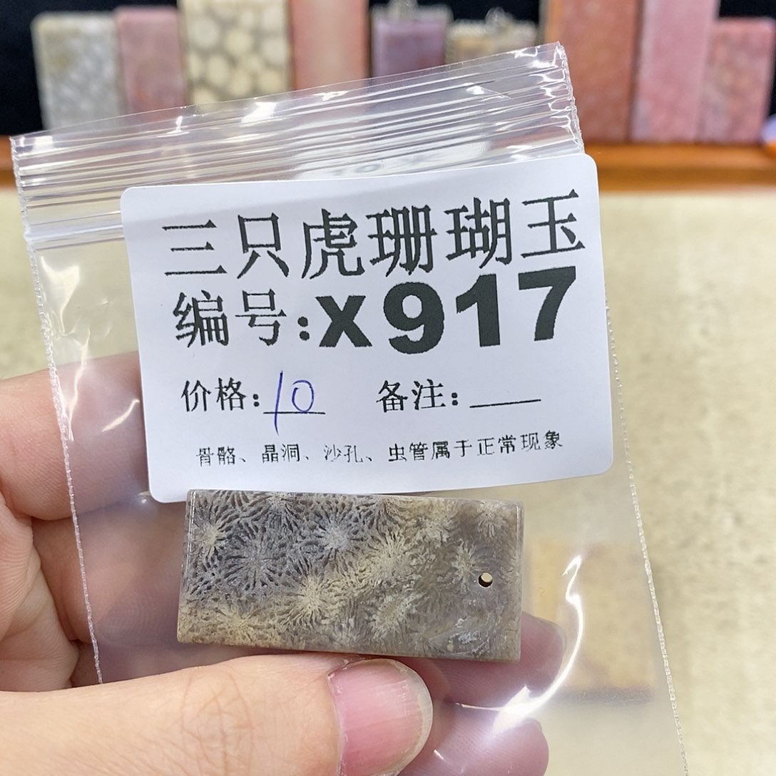 硅化珊瑚（珊瑚玉）1未镶嵌王