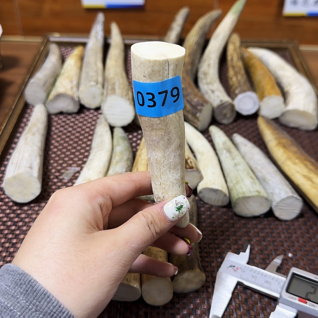 鹿骨手串/手链角尖0379