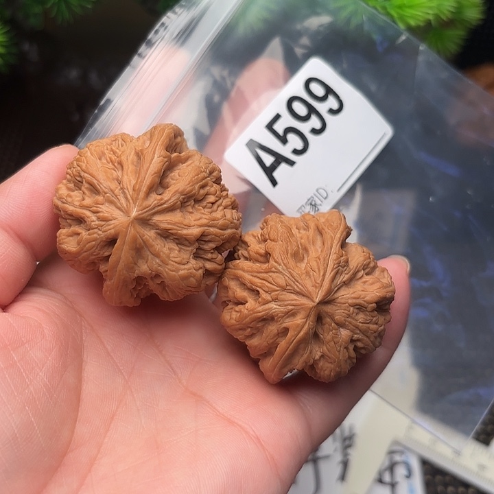 桃核把件核桃大粗筋42