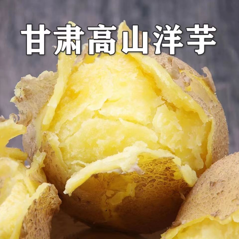甘肃黄皮黄心土豆现挖新鲜粉面洋芋马铃薯