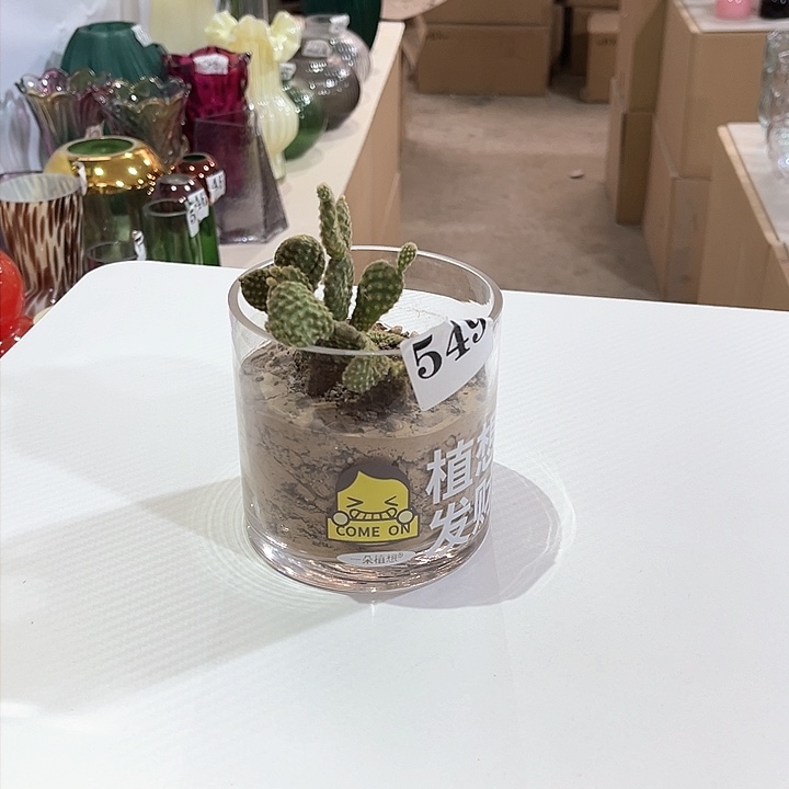 玻璃549高10拍一发二玻璃花瓶嘎嘎好看