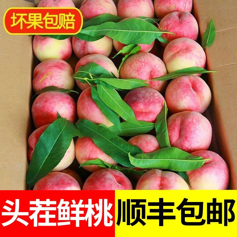 次日达【头茬水蜜桃】山西运城春美水蜜桃脆蜜桃新鲜桃子脆软两吃山西省