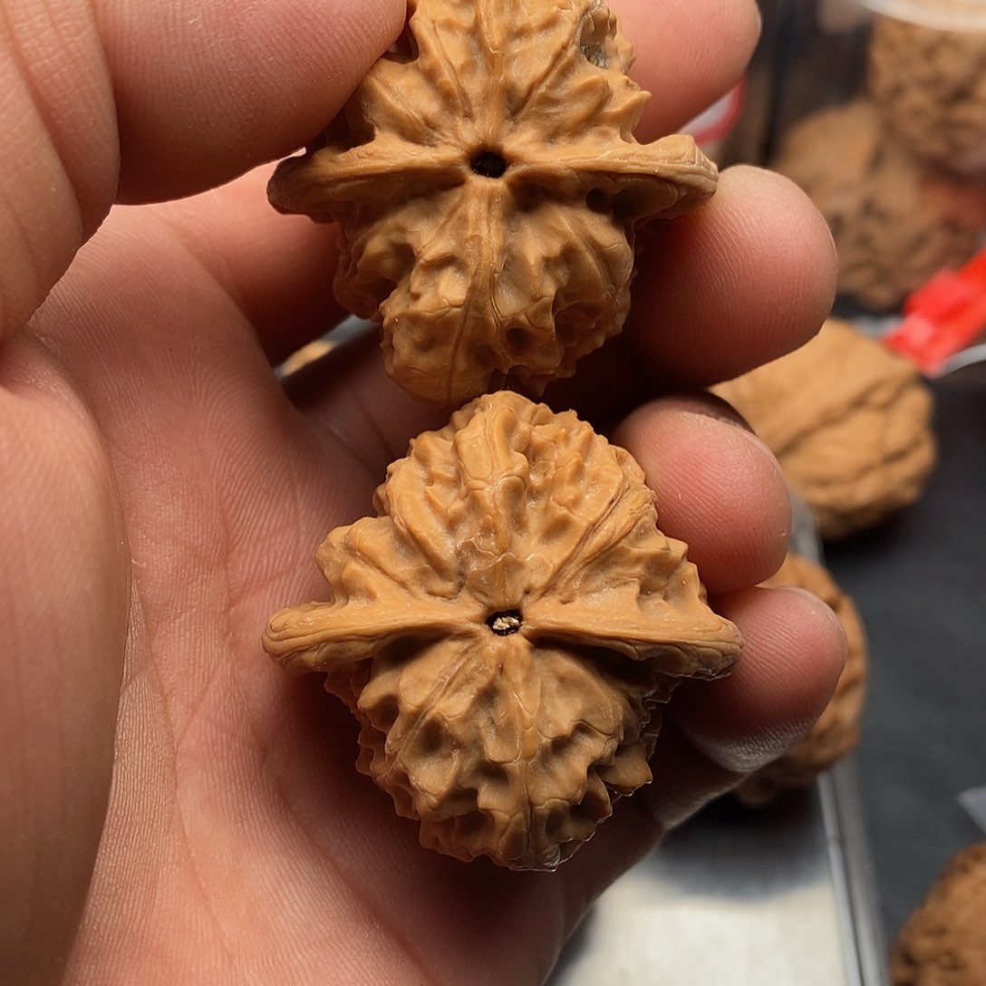 文玩核桃把件风**吹野狼41