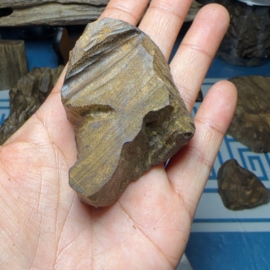 木质母树绿奇陆河包头22克