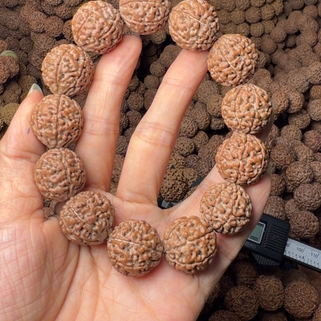 手串金刚菩提7瓣卡20尺，121号