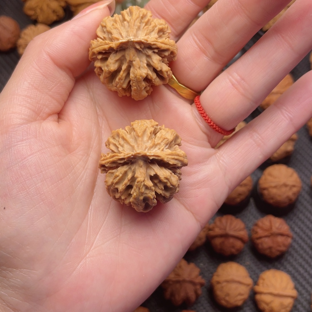 z***j把件文玩核桃大花王粗筋