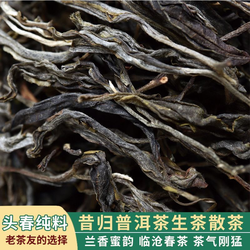 昔归古树普洱生茶散茶