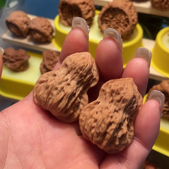 官方网站发布消息