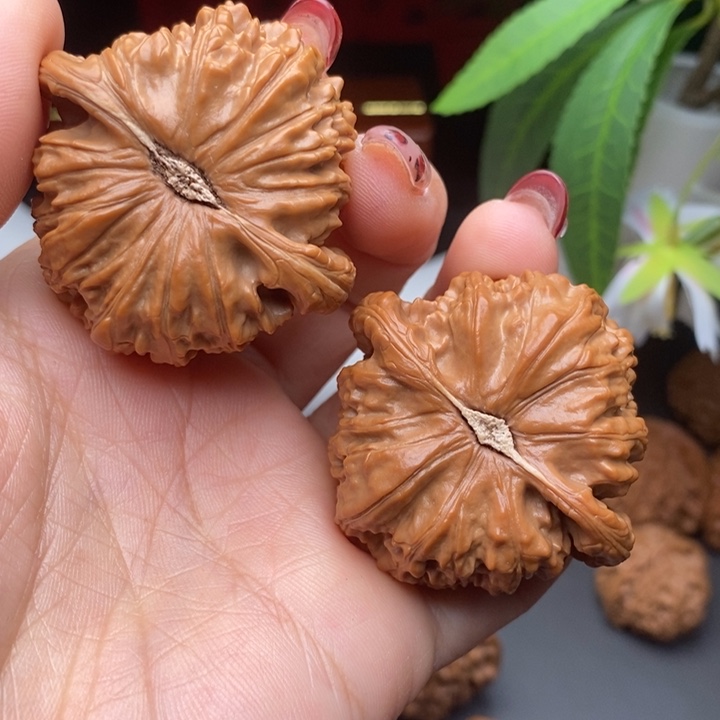 文玩核桃把件白狮子46