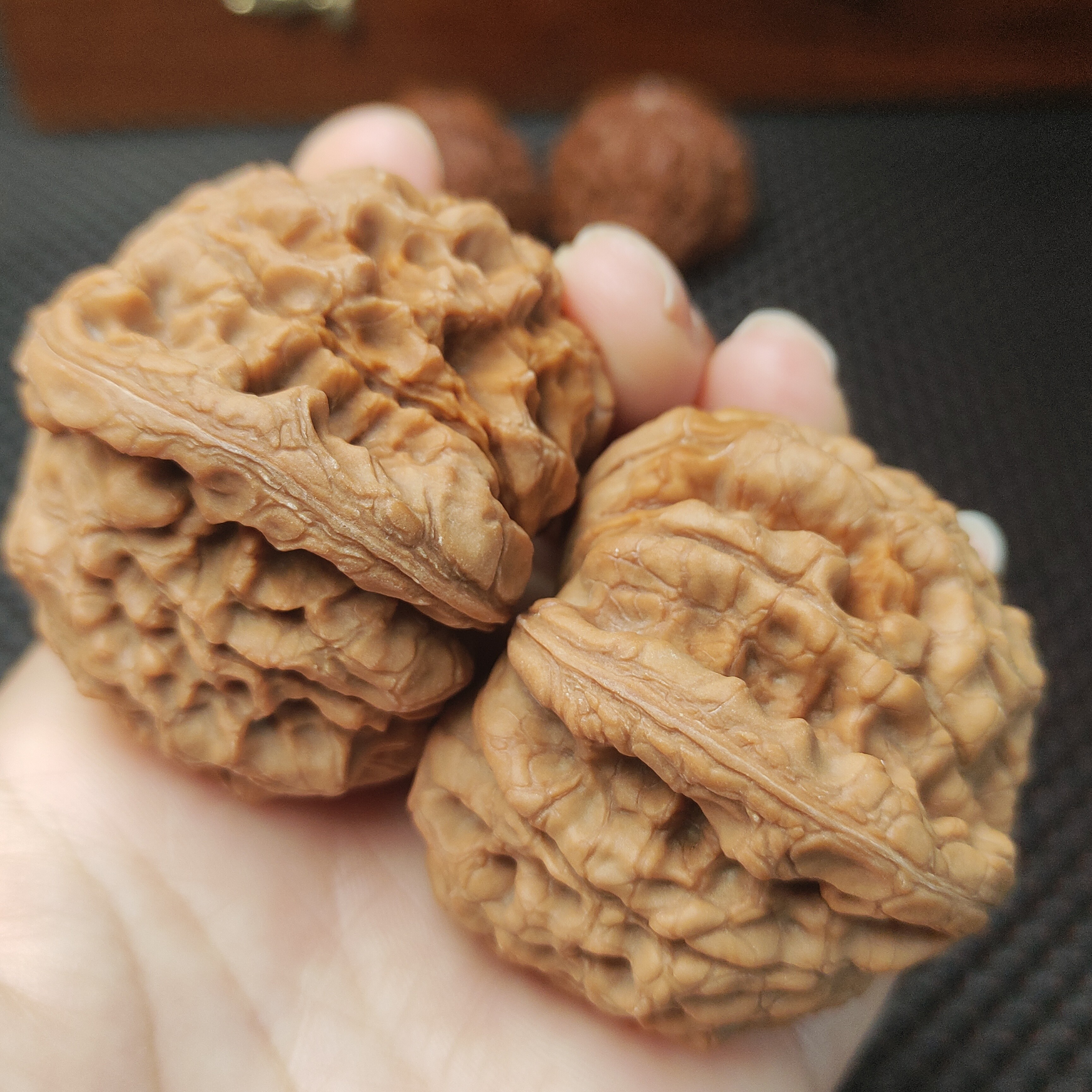 文玩核桃53尺寸全品龙鼎