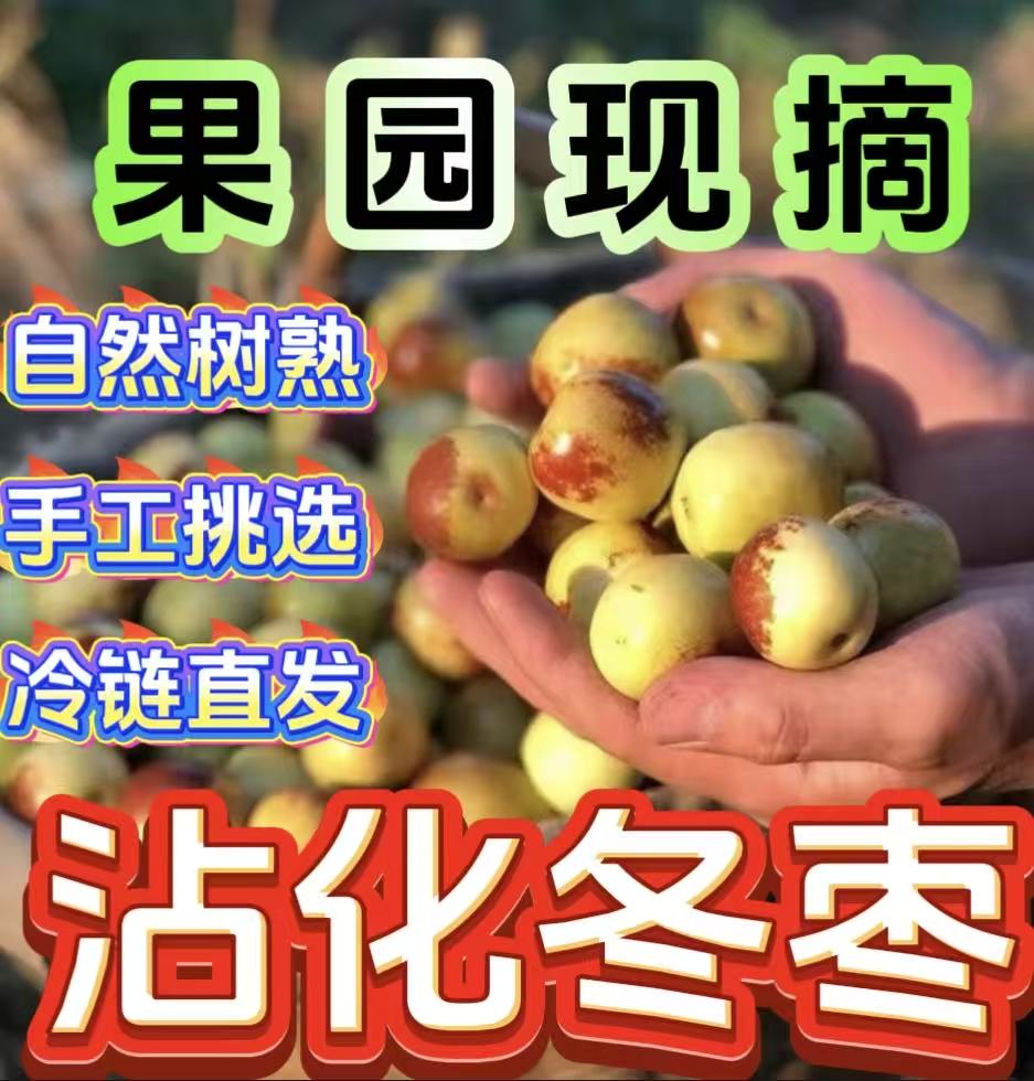 【二代沾化冬枣】新鲜采摘自家果园现摘现发冰糖冬枣自然成熟枣