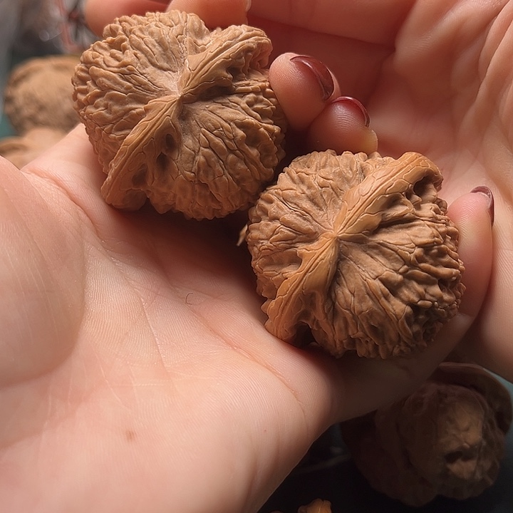 文玩核桃把件47白狮子