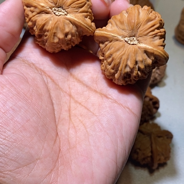 S***W核桃手串/手链满王