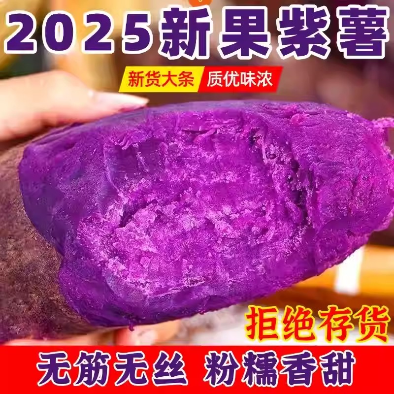 【次日达】正宗沙地紫薯新鲜紫罗兰红薯番薯地瓜紫薯河南省