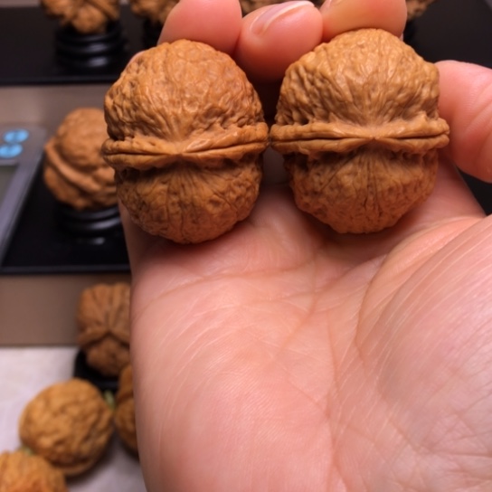 文玩核桃把件粗筋蚂蚁塔11