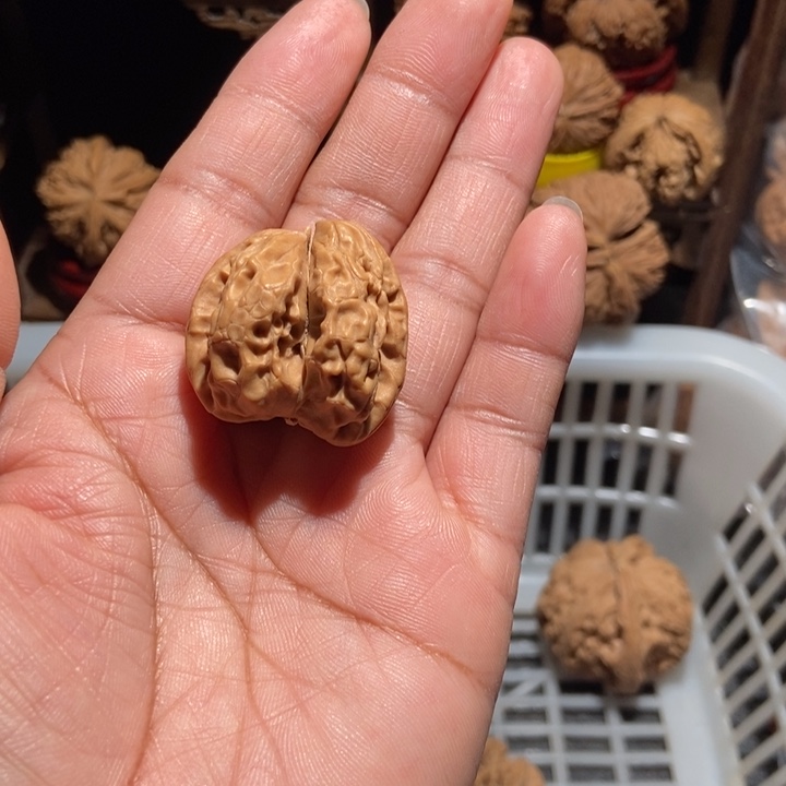 争***利石楠木小连体尺寸31