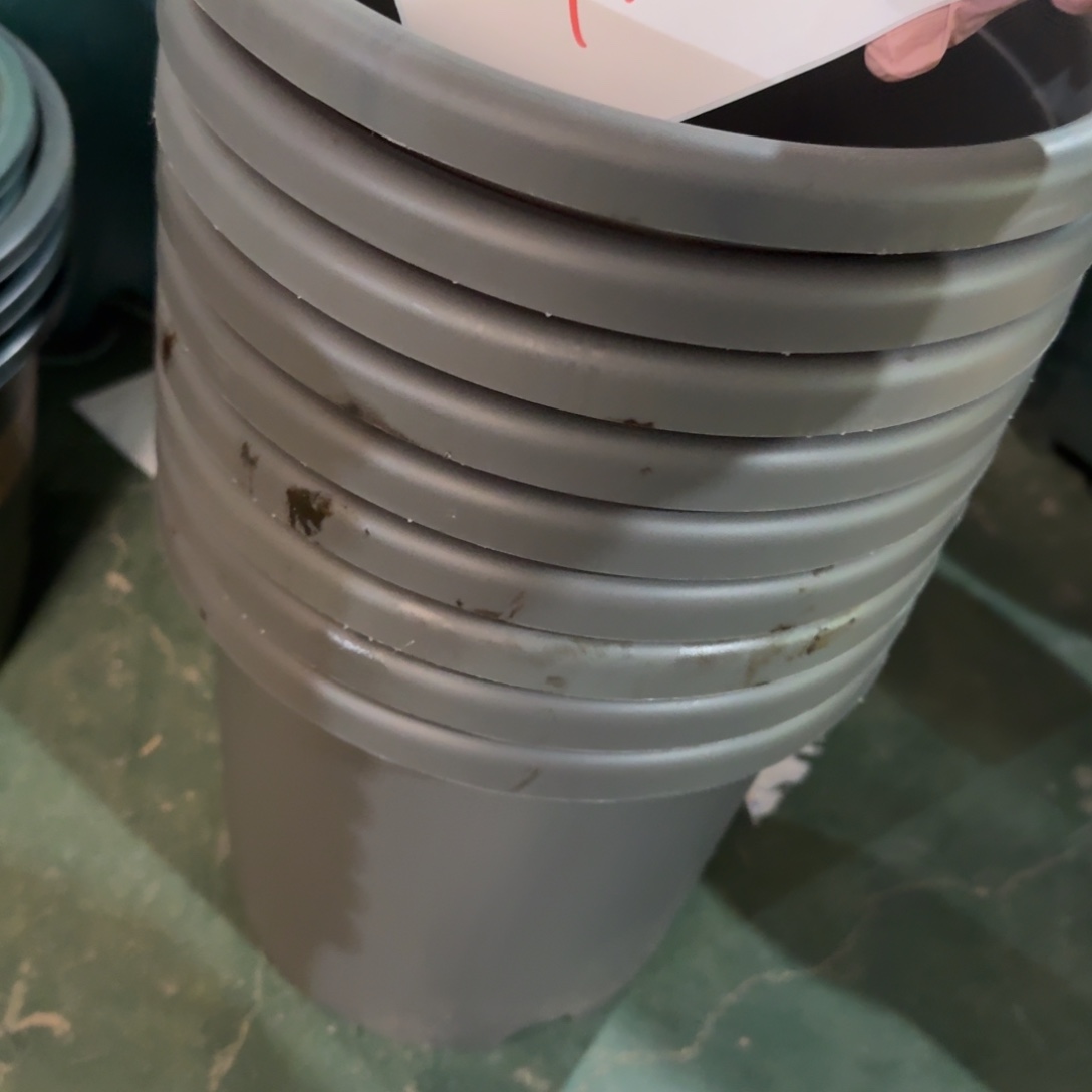 编号120微瑕无拖