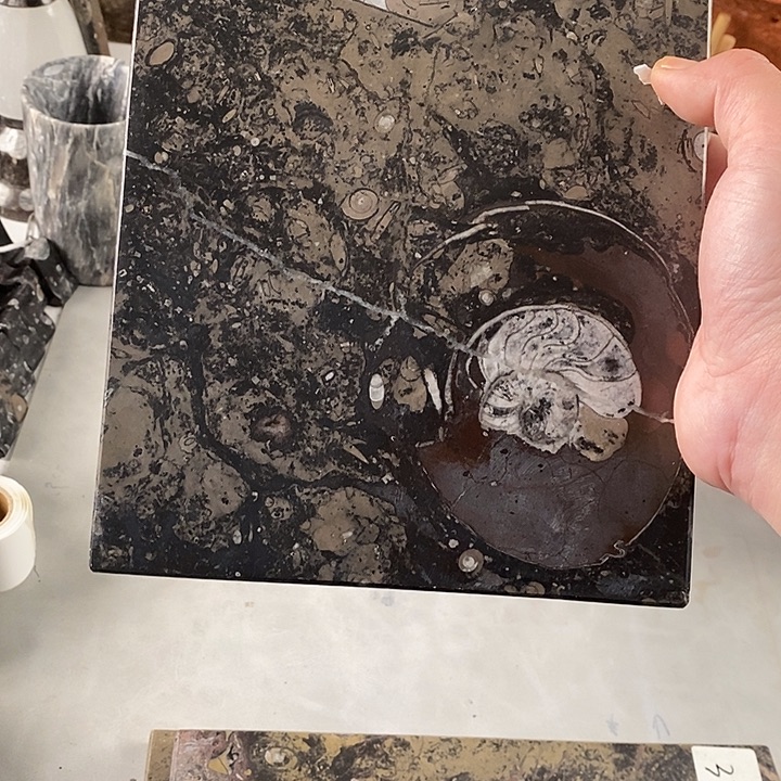 朗***涯化石茶盘粉丝福利