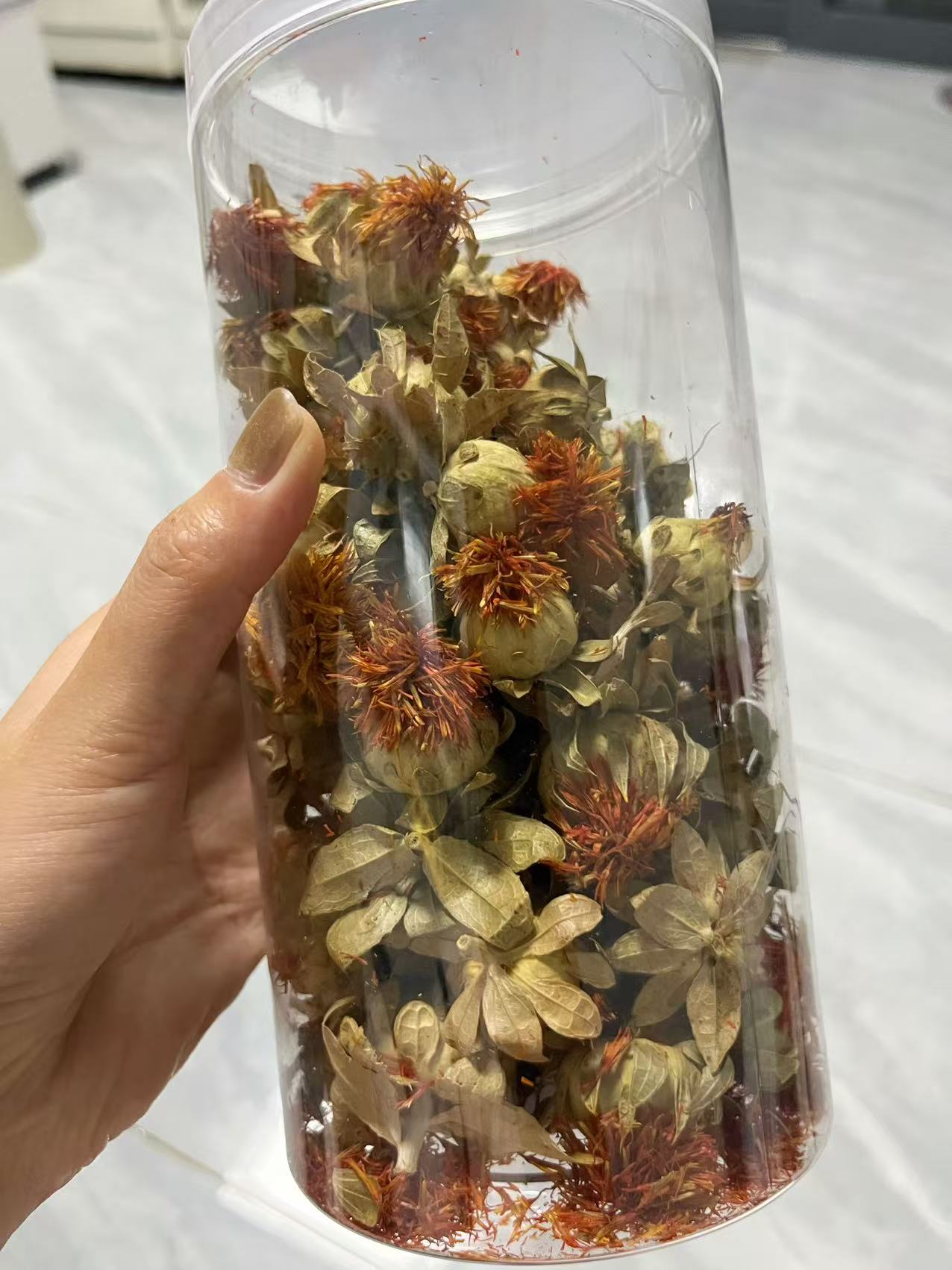 云南高山高海拔孕育的帝王花女神花