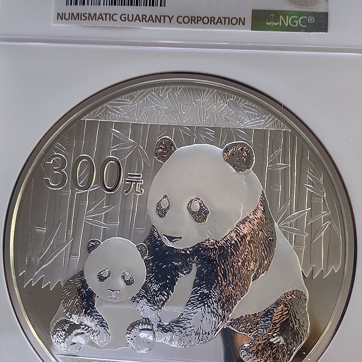 纯银2012熊猫公斤银币