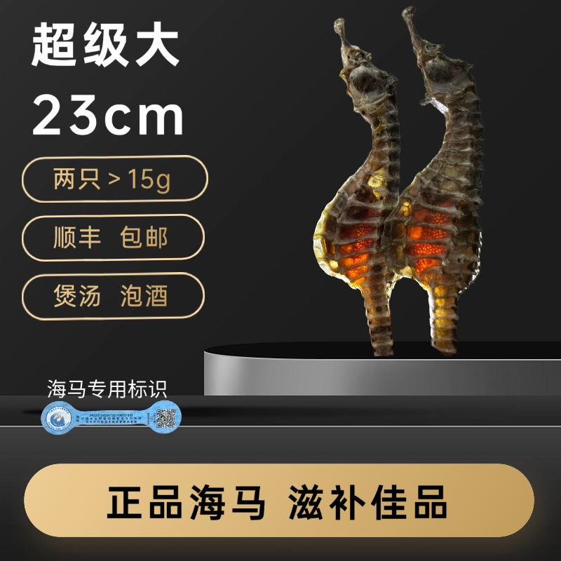 正品溯源海马当季渔民生晒足干煲汤泡酒滋补佳超大马两只约15g