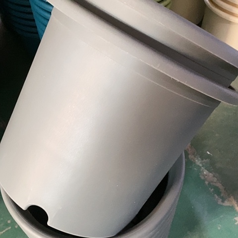 树脂四季6#无托灰黑10个