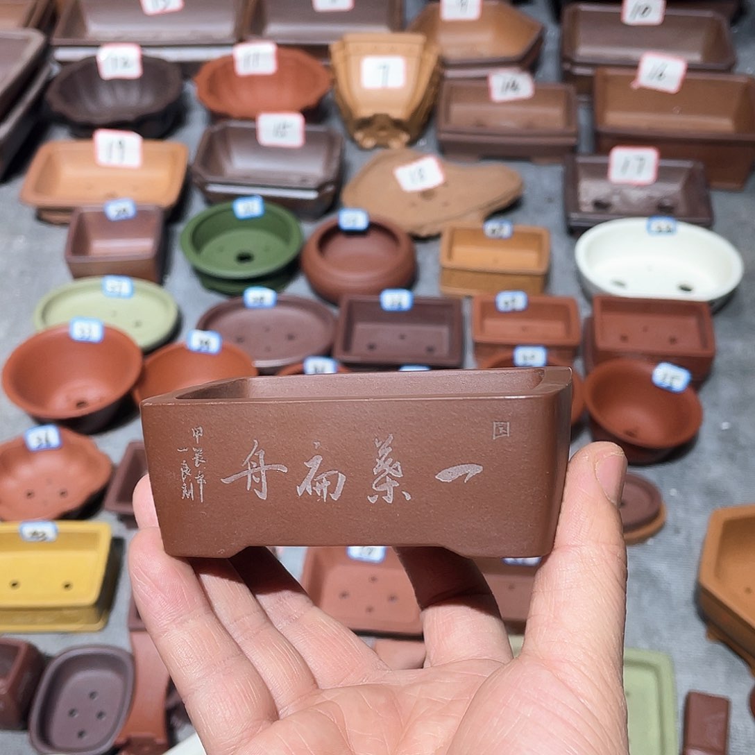 治***活紫砂小盆8.5*5*2.8