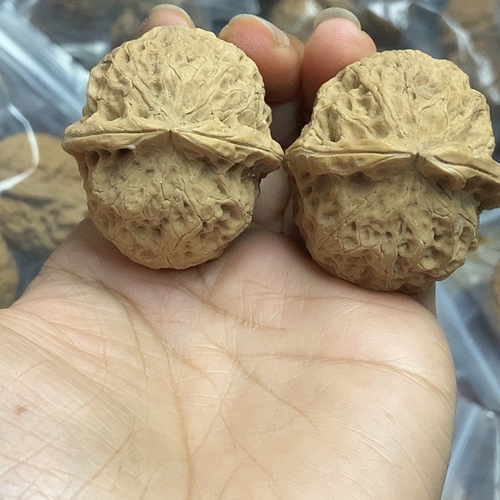把件文玩核桃云南铁核桃基地24