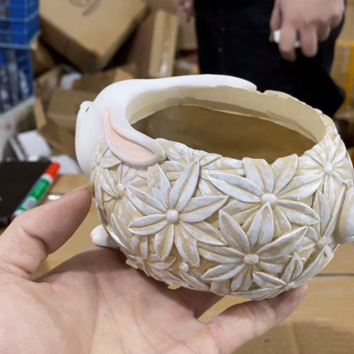 红陶来来来来来来6