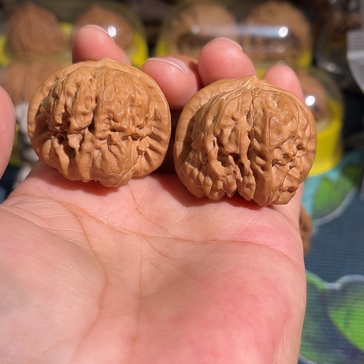 核桃福利野生无药达摩40