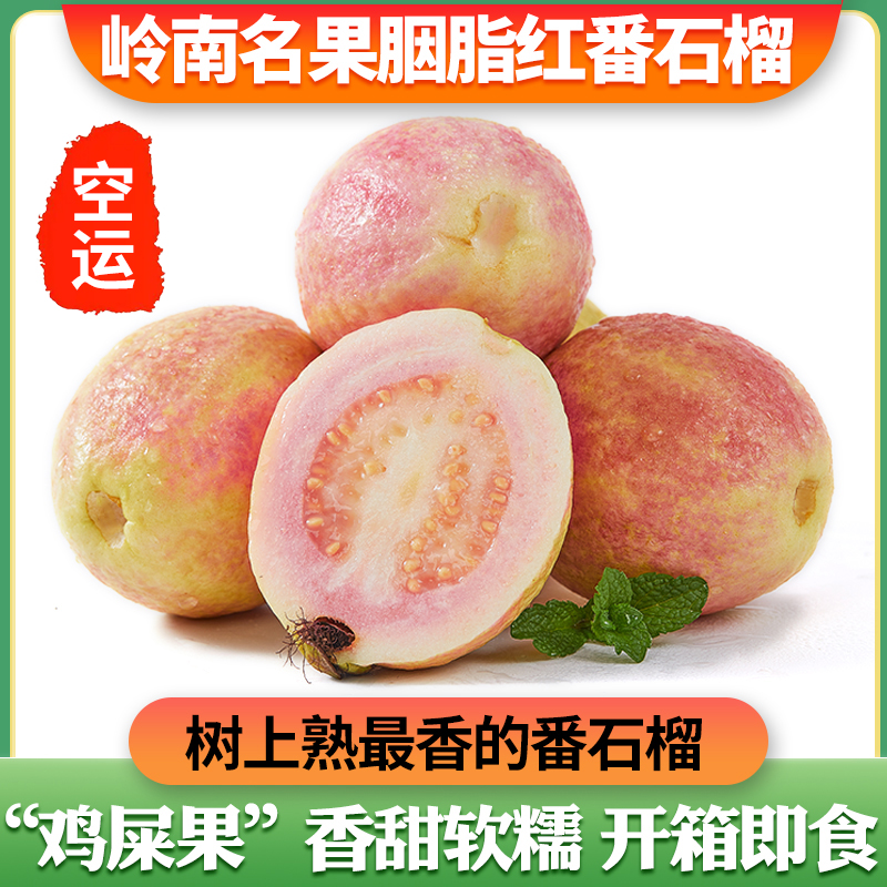 【顺丰空运】广州增城胭脂红番石榴红心芭乐软糯低糖现摘应季水果