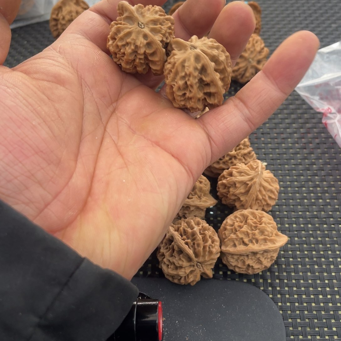 秦岭的小王核桃啊钱啊