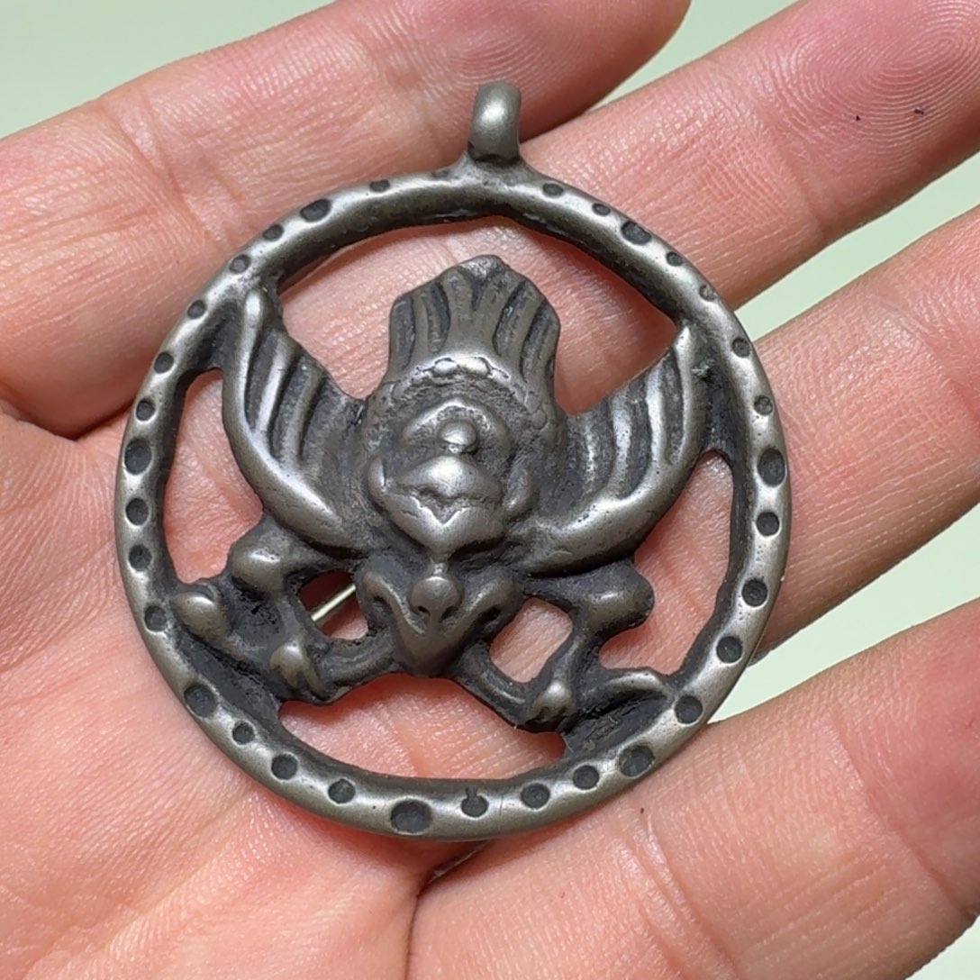 大鹏鸟先进带回家