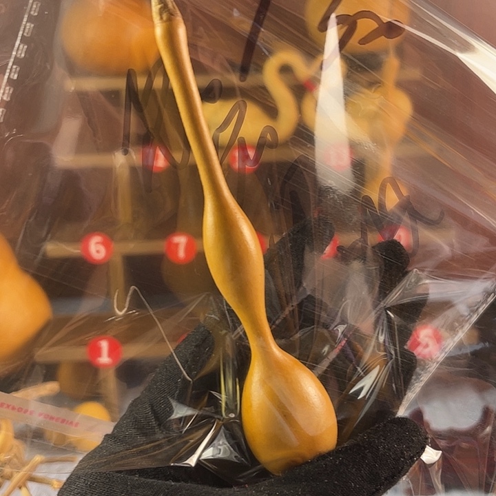 络***⁹我会的不会忘我也没有忘记你们也没