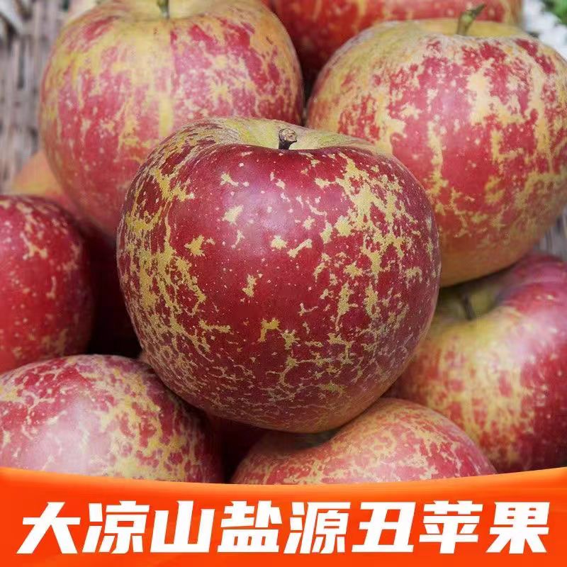 四川大凉山盐源丑苹果脆甜多汁新鲜现摘水果L