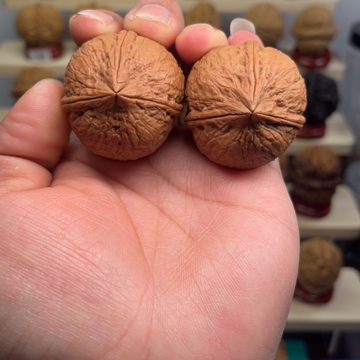 天***虾核桃文玩铁核桃金蟒三棱