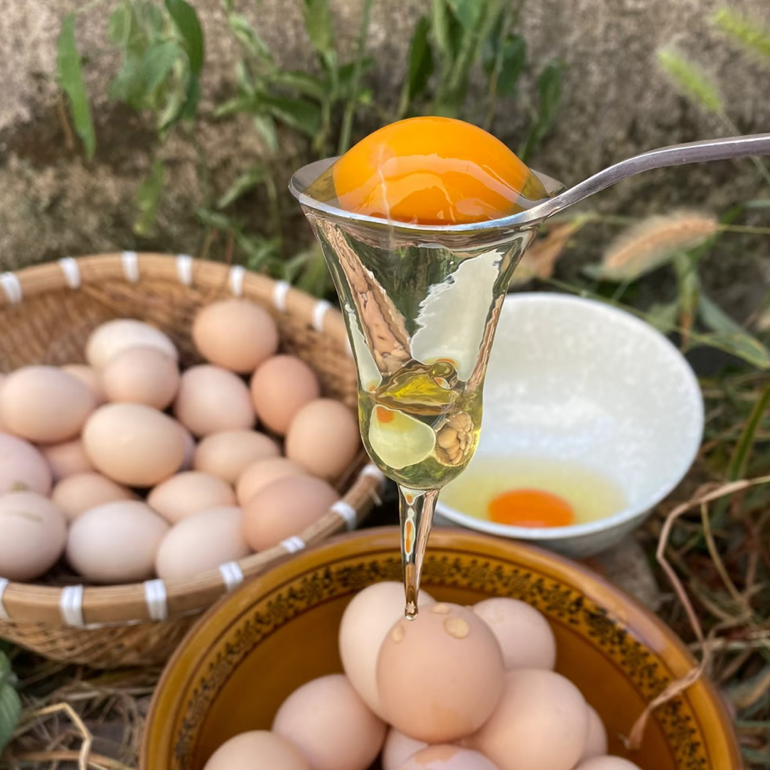 绿壳芦花鸡蛋 农村土鸡
