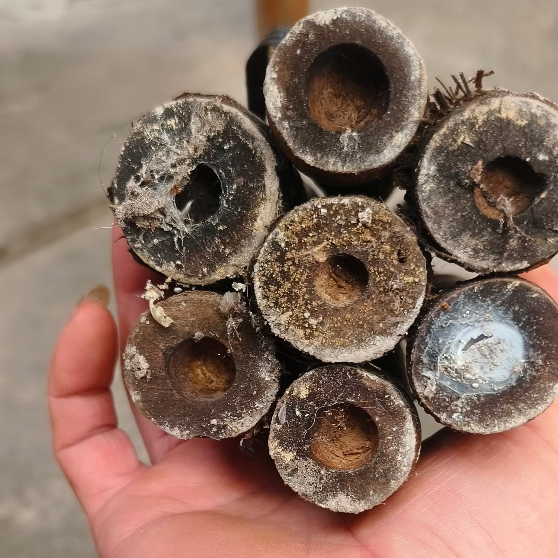 随机竹料直播间付款用700