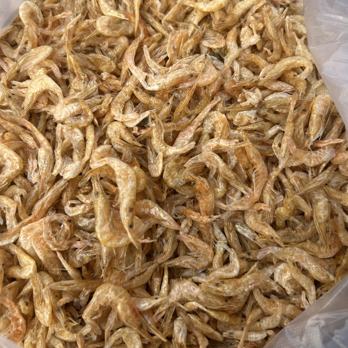 羊毛虾小干虾 淡干可炒菜煲汤