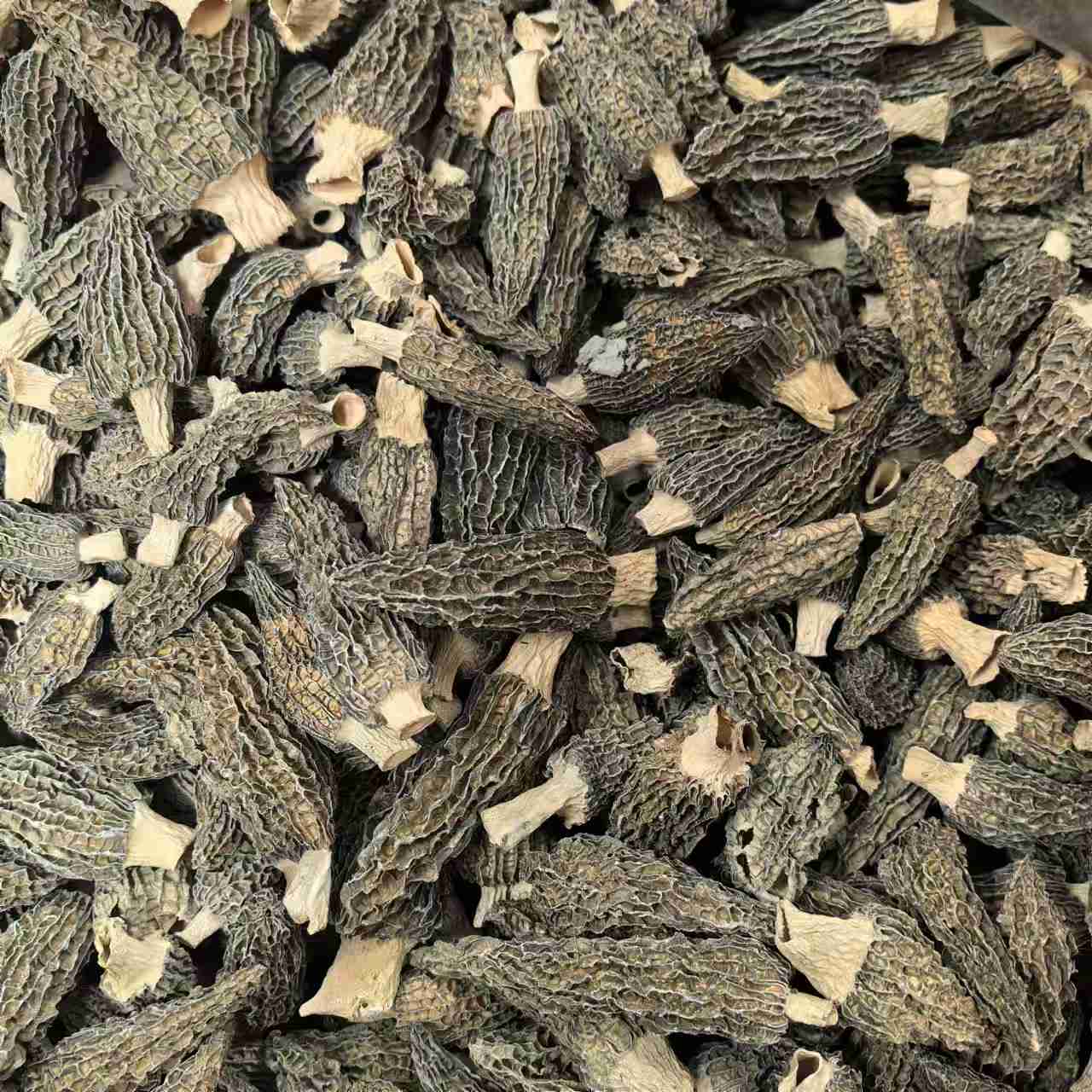 羊肚菌煲汤好吃100g