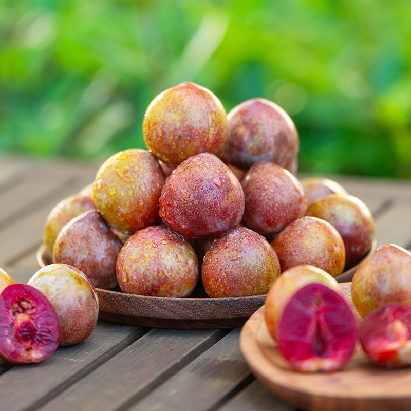 天狼果树苗桐乡檇李蜂糖李纯甜李子裸根果树苗阳台庭院种植盆栽