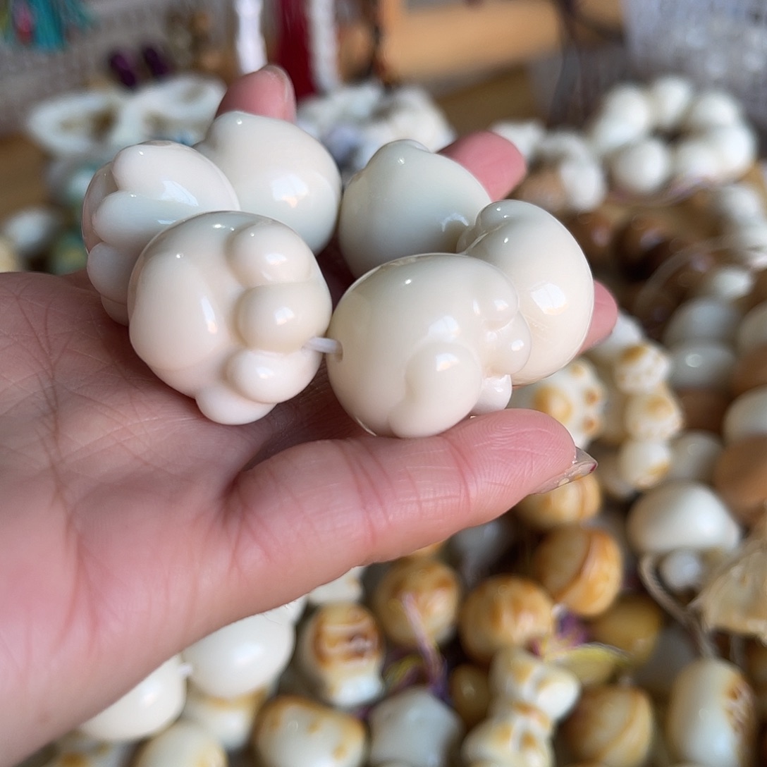 香榧木象牙果猫爪