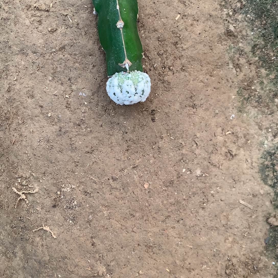 【闪购商品】很***人一兜兜兜兜