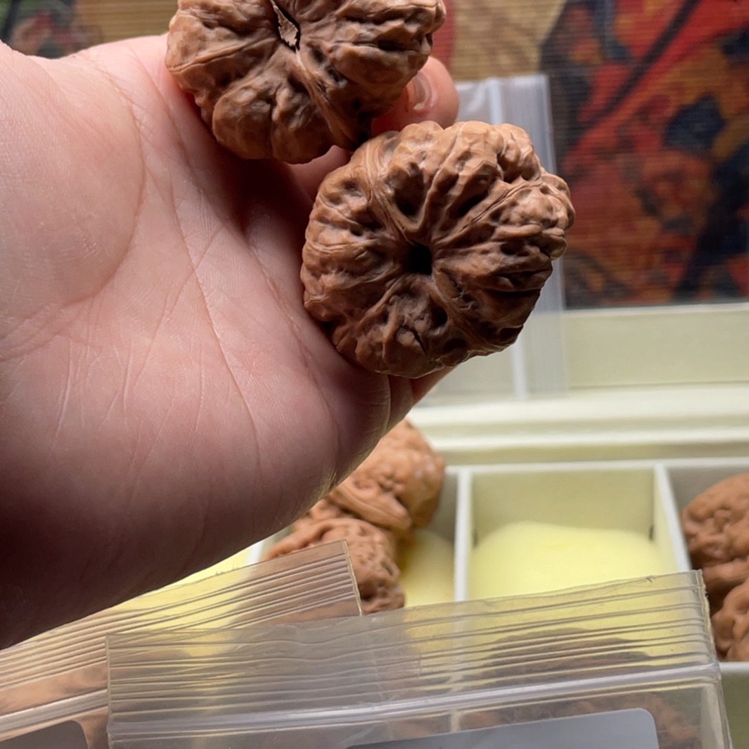 木质类H1018蛙蛙蛙